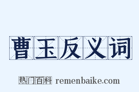 曹玉反义词是什么意思的图片